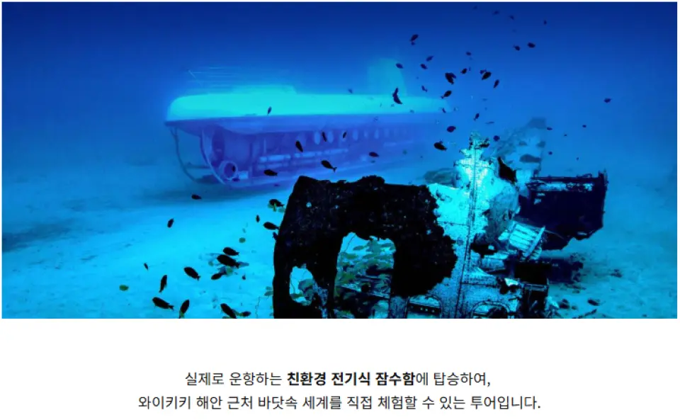 맑은 수중의 아틀란티스 잠수함, 거대한 난파선 구조물이 물고기 떼를 끌어모으며 주변을 맴돌고 있습니다.