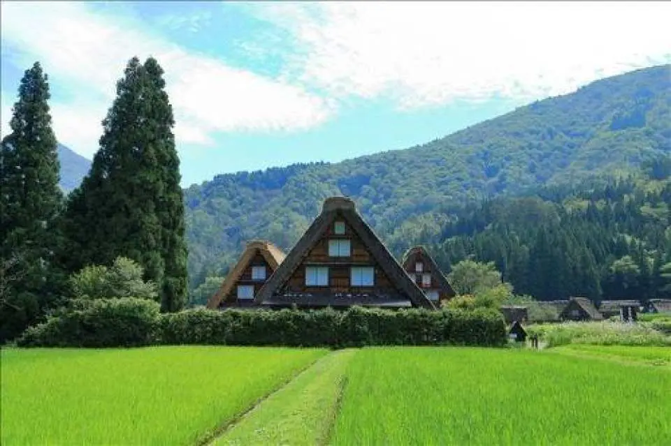 【白川乡】

这里宛如“日本的故乡”，您可以在这里深入体验日本乡村文化、生活方式和生活气息，感受日本最原始的自然风光。

白川乡位于日本降雪量最大的地区之一，直到最近，这里还被认为是日本偏远与世隔绝的地方。在这个气候严寒的地区，人们依然居住在传统的合掌造房屋中，忍受著每年长达四个月的皑皑白雪。

摄影：PN：荣太郎（爱知县居民）