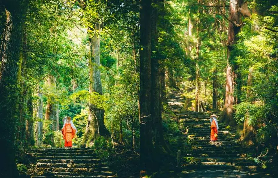 熊野古道精华路段（发心门王子～熊野本宫大社）是熊野古道中最经典、最适合初次体验的徒步路段，全程约7公里，步行约2.5～3小时。沿途穿越古老杉林、石板古道与静谧村落，感受千年朝圣之路的历史韵味与自然疗愈氛围。一路绿意盎然、空气清新，最终抵达熊野信仰中心——熊野本宫大社，是体验世界遗产熊野古道魅力的最佳路线。