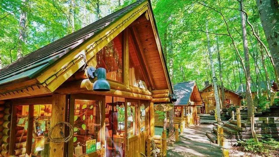 炎炎夏日，遠離人潮喧囂，走進宛如童話般的精靈森林，在綠意與微風之中，感受北海道夏日最療癒的悠閒時光。