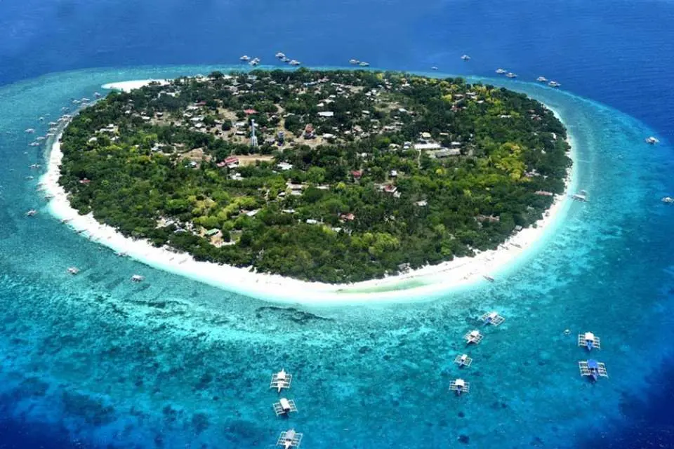 Arrive at Balicasag Island and prepare for snorkeling at the briefing area. Provided with masks, snorkels, and life vests for safe exploration of the marine life.