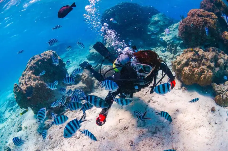 4. Clownfish Paradise Experience Diving Tour
This is a paradise where clownfish live. The sea, with its colorful coral reefs, is like a natural aquarium. Even if you can't swim, don't worry. Our experienced guides will provide careful support, so even first-time divers can feel at ease. Please come and experience the beauty of Okinawa's sea.