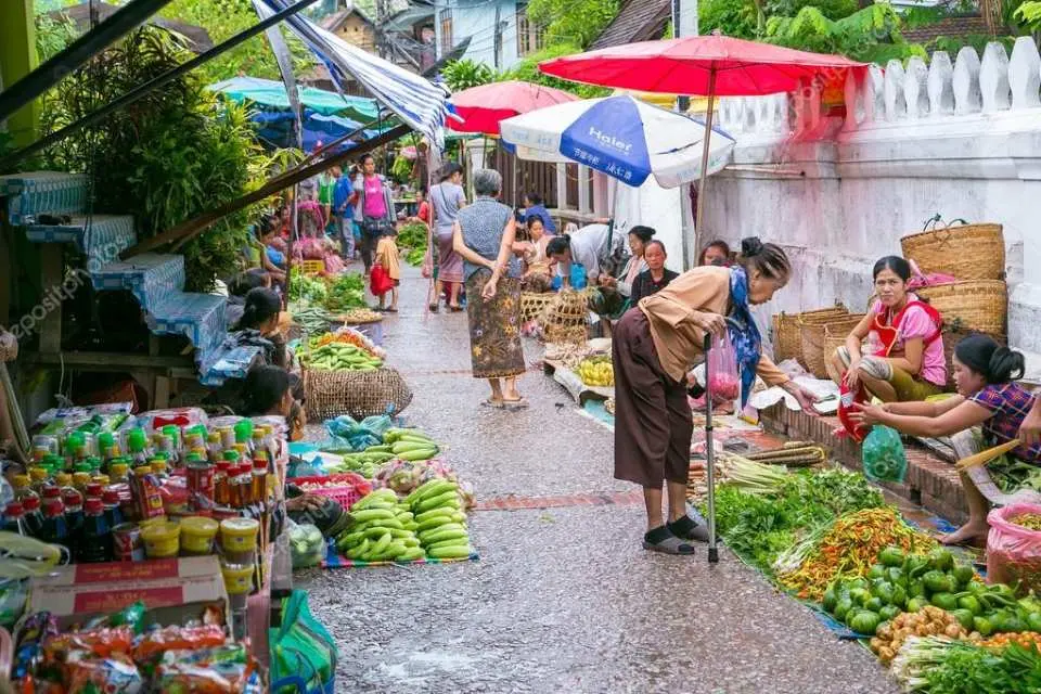 离开市场后，您将被送往我们的烹饪场地，在那里您将接受有关制作各种当地菜肴的指导。