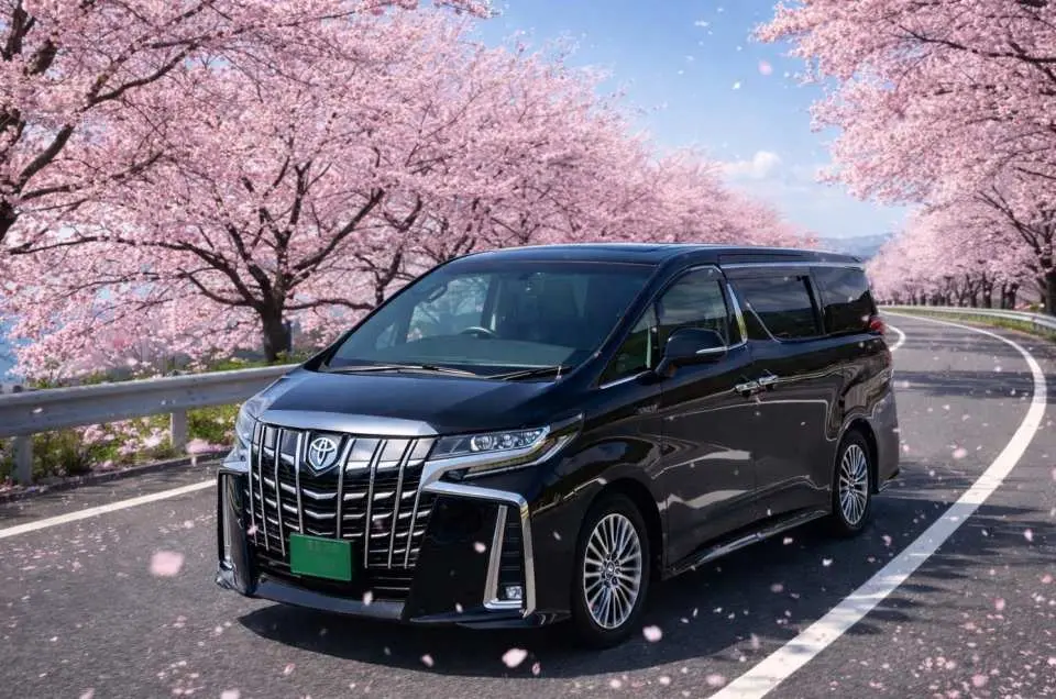 7 exterior Alfa Romeos