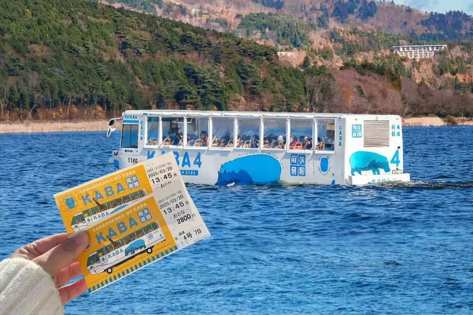 山中湖，富士五湖中最大的湖泊，以其清澈的湖水和壮丽的富士山倒影闻名。从湖畔望去，富士山左右延伸出绵长的山脊，魅力非凡。每年2月至4月，尽管严寒，天鹅（日本称为“白鸟”）都会飞来这里繁衍后代。由于游客常喂食，天鹅常主动亲近人群，因此山中湖也被誉为“白鸟之湖”。
KABA河马巴士
“山中湖的河马”是非常罕见的水陆两用巴士，在山中湖是人见人爱的宠儿。它可以带您到森林里兜风，也可以带您到湖面上遨游，这种「上山下海」的感觉绝对是您平常体验不到的。和煦的阳光、温柔的清风、葱郁的森林、飞溅的水花。搭著河马巴士，去享受湖光山色的飨宴吧。