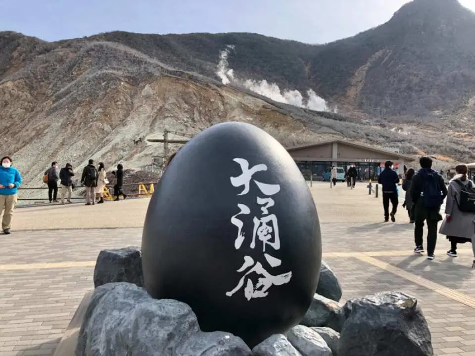 【大涌谷】
大涌谷因火山活動而形成的地熱谷地，可看到蒸氣白煙不斷從山壁噴出，氣勢壯觀。最著名的「黑蛋」為溫泉蒸煮的黑色雞蛋，相傳吃一顆可延壽七年。步道與觀景台視野極佳，是箱根最具代表性的地熱景點。