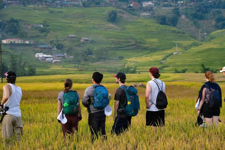 Hà Nội - Sapa: Tour 2 ngày 1 đêm tại Sapa - Trải nghiệm trekking và nghỉ  bungalow đích thực tại các làng quê địa phương | Sapa, Việt Nam - KKday