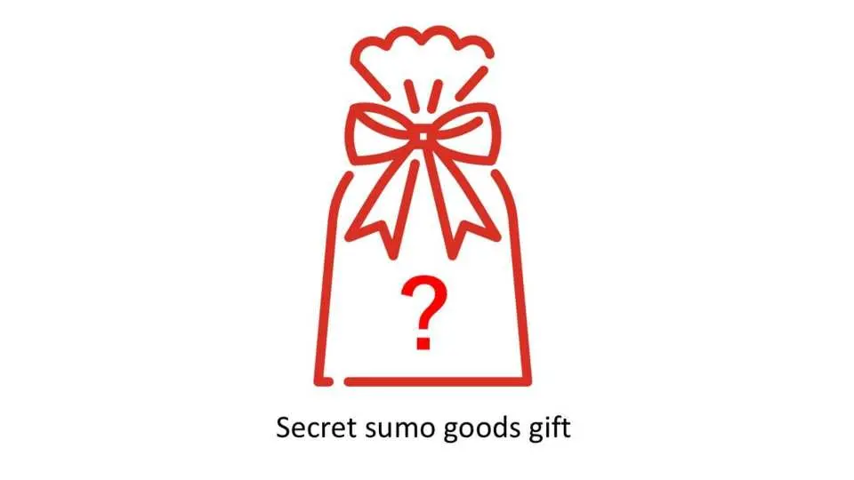 お楽しみプレゼント！中味は開けるまでのお楽しみ・秘密の相撲グッズをプレゼント！