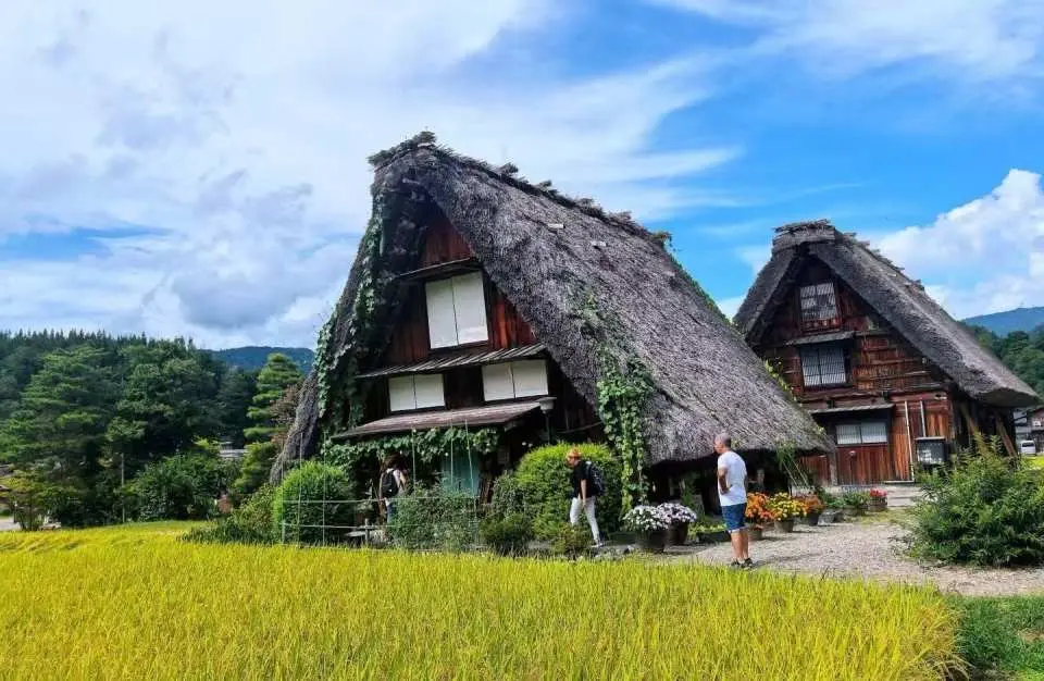 到達【白川鄉合掌村】自由散策約2小時。——白川鄉合掌村為日本知名的世界文化遺產，以獨特的「合掌造」茅草屋建築聞名，是為因應豪雪氣候而發展出的傳統農村建築。村落依山傍水而建，完整保留原始田園風貌，四季皆呈現不同景色。——漫步村內可近距離欣賞合掌屋建築，感受純樸的日本山村生活。行程中可前往展望台俯瞰整個合掌村全景，並自由拍照留念。村內亦設有紀念品店與資料館，可簡單了解合掌村的歷史與文化。——整體參觀節奏輕鬆，適合散步、拍照與慢慢欣賞風景，是日本中部地區不可錯過的經典景點之一。
