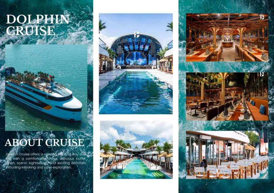 Dolphin Cruise