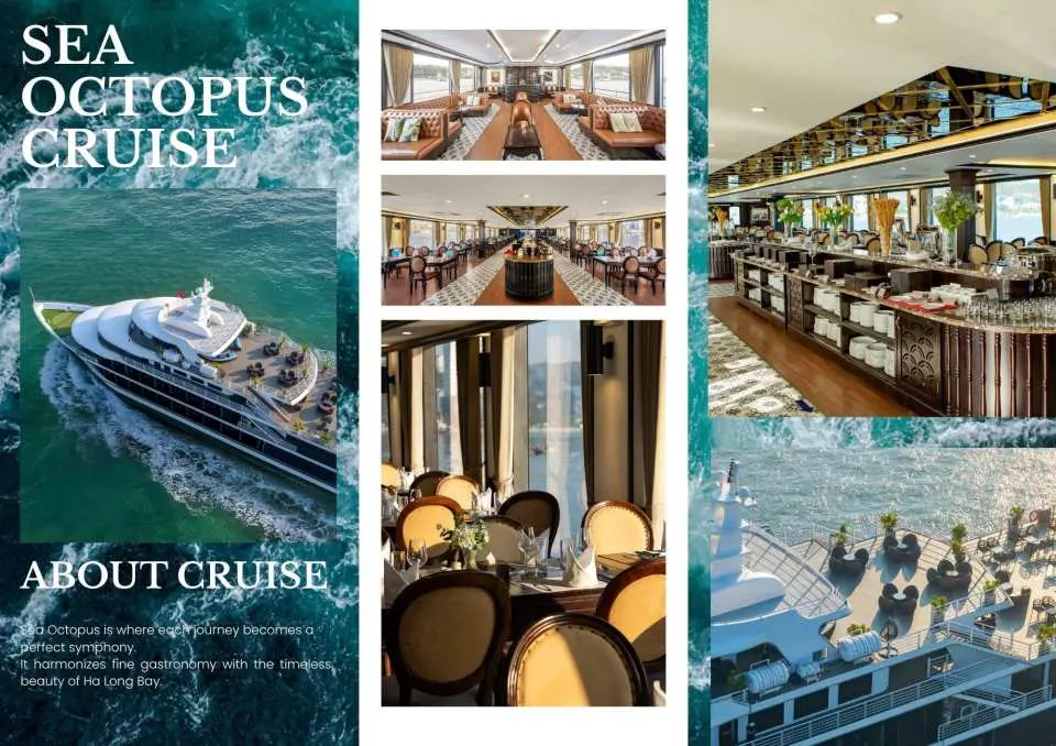 Sea Octopus Cruise