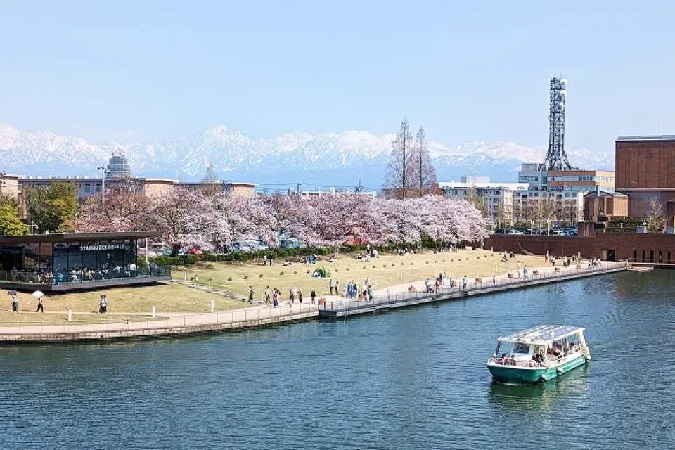 【富岩運河環水公園】由舊運河改建而成，是富山市知名的親水公園。園內的星巴克環水公園店以玻璃設計與水岸倒影聞名，被譽為全球最美星巴克之一。春季櫻花盛開，運河、天門橋與櫻花景色相映成趣，是散步賞景的熱門地點。