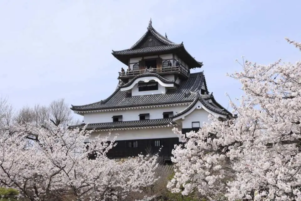 國寶五城【犬山城&城下町】賞櫻（行程不含門票，可協助代訂）