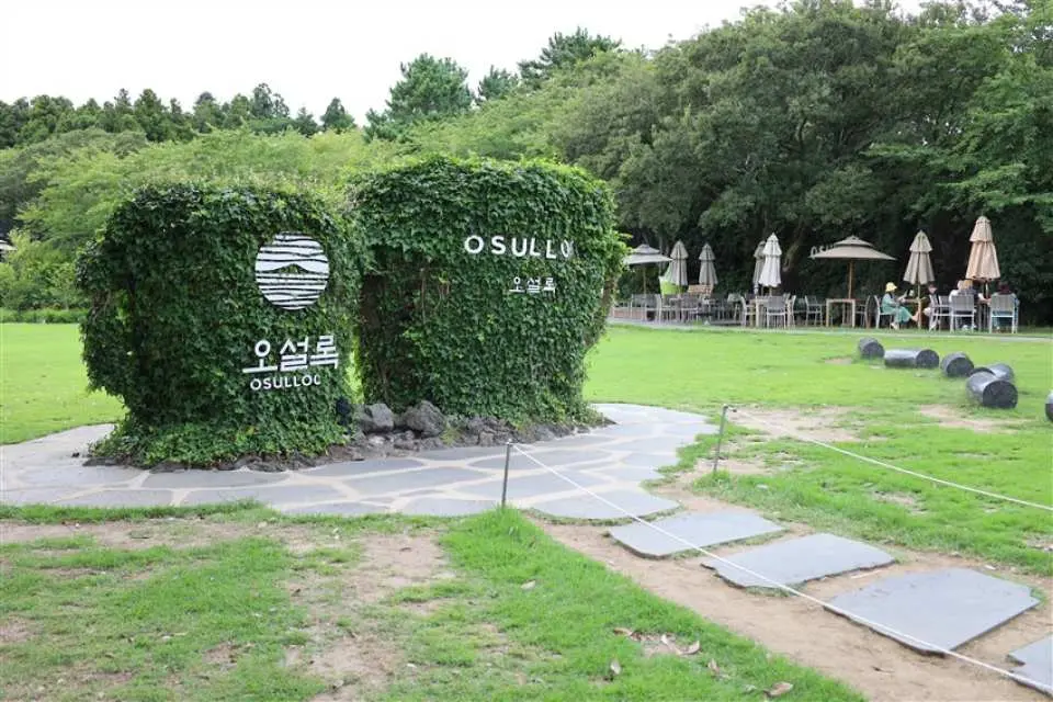 O’Sulloc雪綠茶園+玻璃小屋