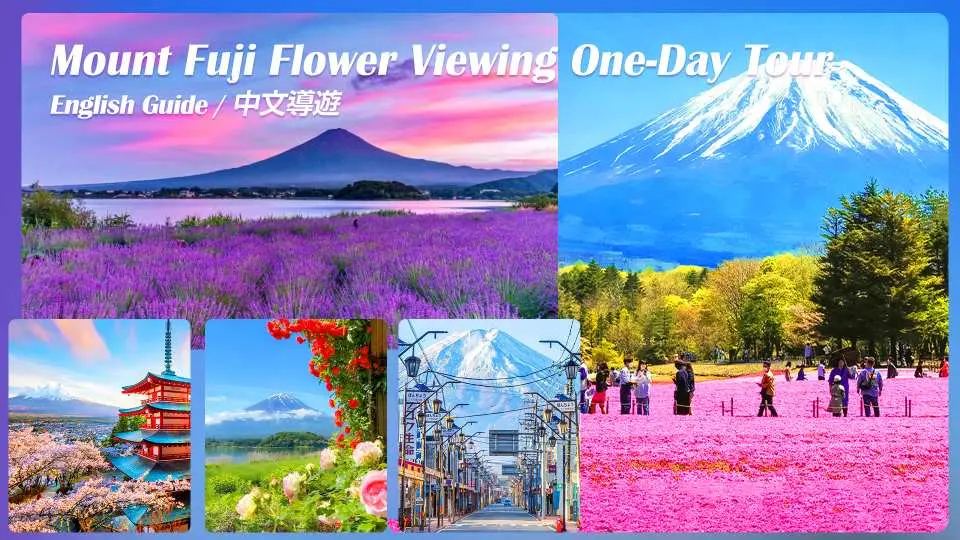 東京発 富士山フォトジェニック日帰り観光バスツアー 忍野八海など