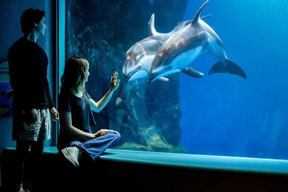 シカゴ シティパス (Chicago CityPASS®) - 人気観光スポットをお得に