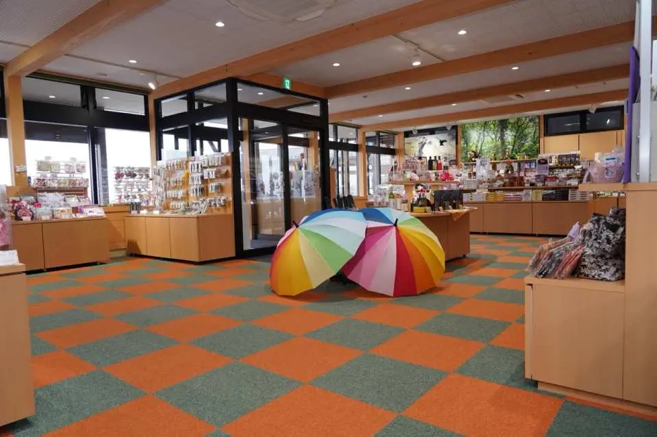 Rainbow Line Summit Park Lift/Cable Car Round Trip Admission