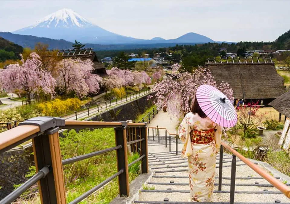 品川・新宿発】富士河口湖の絶景を楽しむ日帰りツアー！富士山の美しさ