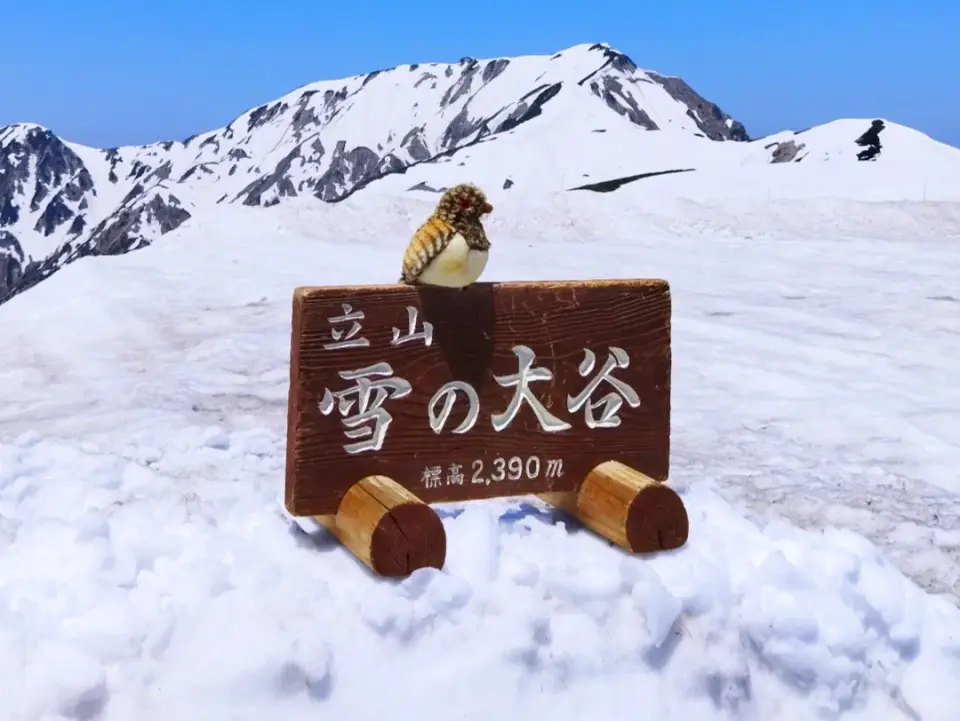 立山黒部雪の大谷日帰りツアー｜長野発 - KKday