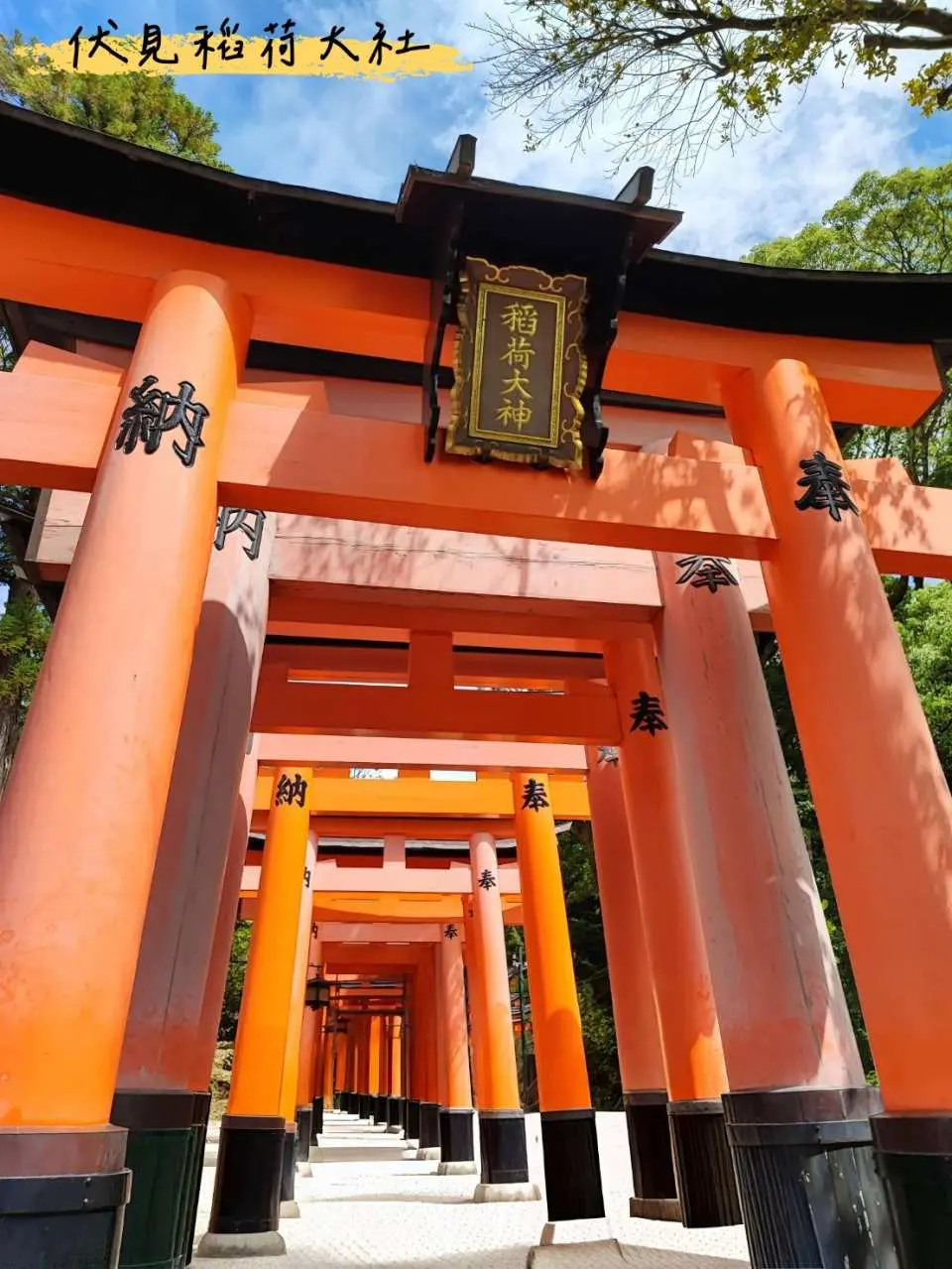 京都古寺散策 京都 1日京都名所めぐり】嵐山・清水寺・二年坂・三年坂・伏見稲荷大社