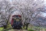 Sagano Romantic Train One-Way Ticket