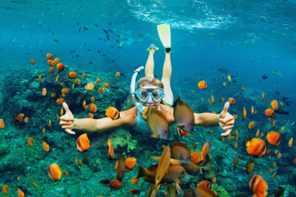 Binh Hung Island Day Tour: Explore by Canoe - KKday