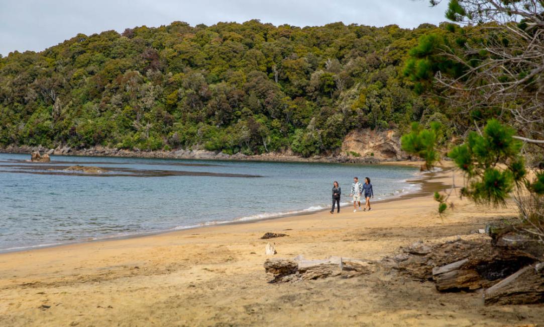 ulva-island-explorer-cruise-guided-walk-tour-from-stewart-island