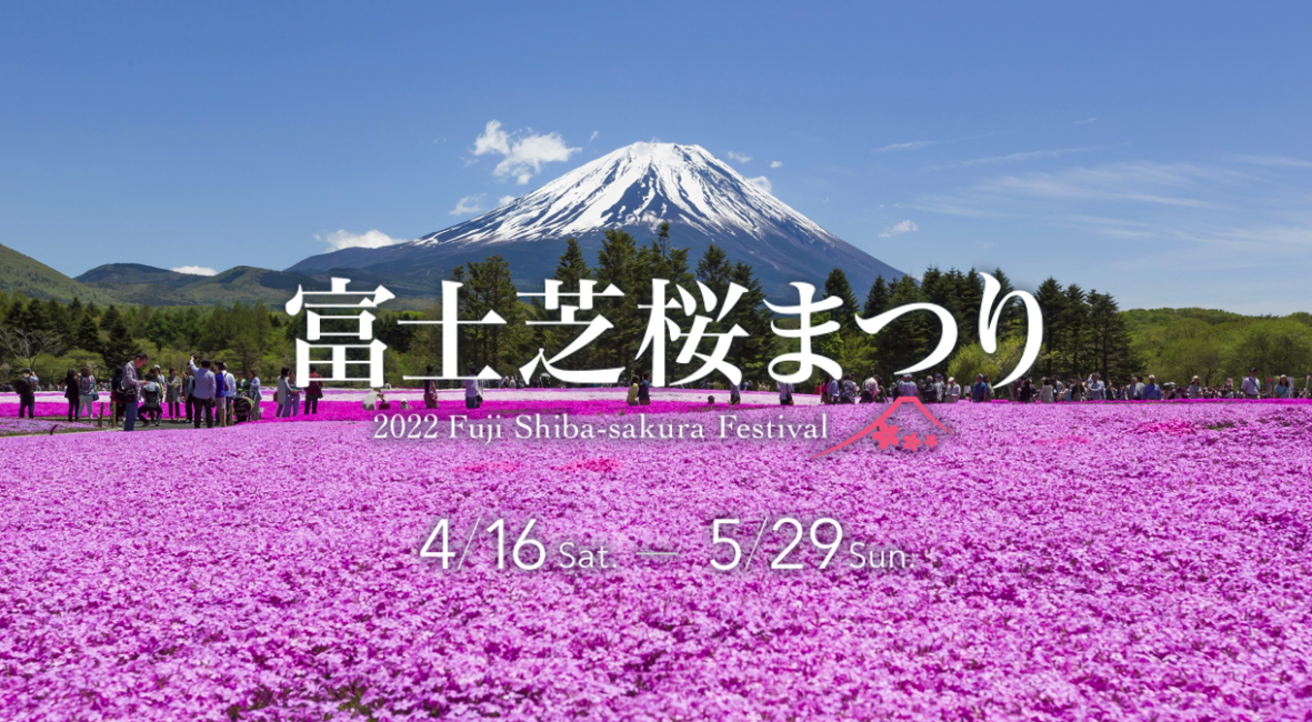 2022 Fuji Shibazakura Festival Ticket Yamanashi KKday