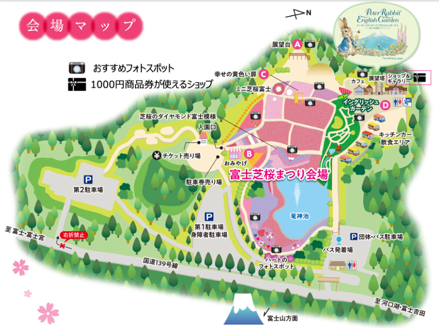 2022 Fuji Shibazakura Festival Ticket Yamanashi KKday
