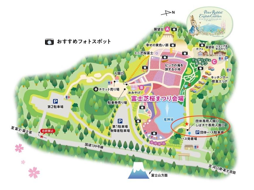 2023 Fuji Shibazakura Festival Advance Ticket Yamanashi Japan KKday