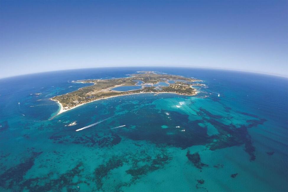 SeaLink Rottnest Island Ferry Western Australia KKday