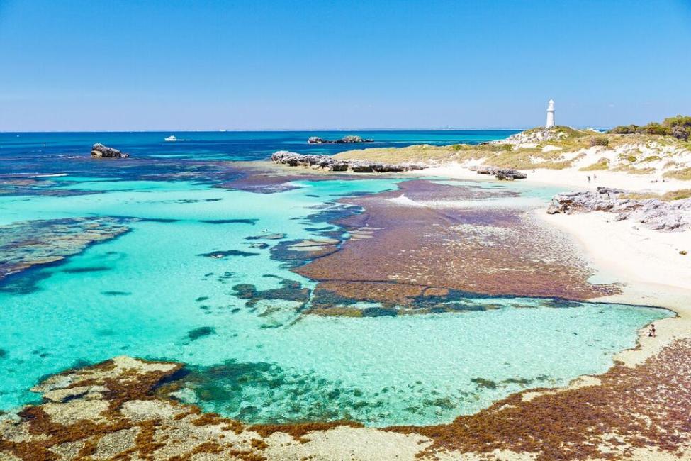 SeaLink Rottnest Island Ferry Western Australia KKday