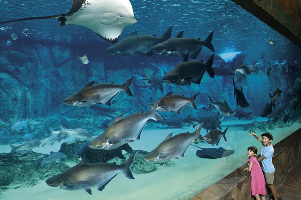 River Wonders River Safari Admission Ticket Singapore KKday