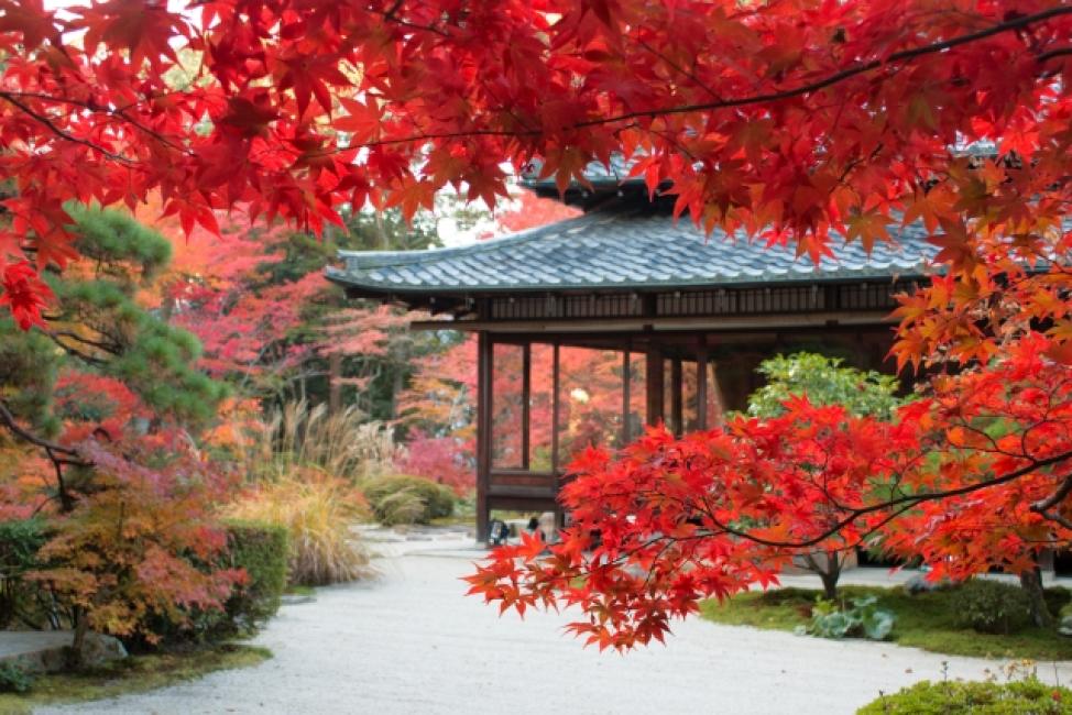 hidden-kyotogenic-for-autumn-with-subway-1-day-pass-tour-kkday