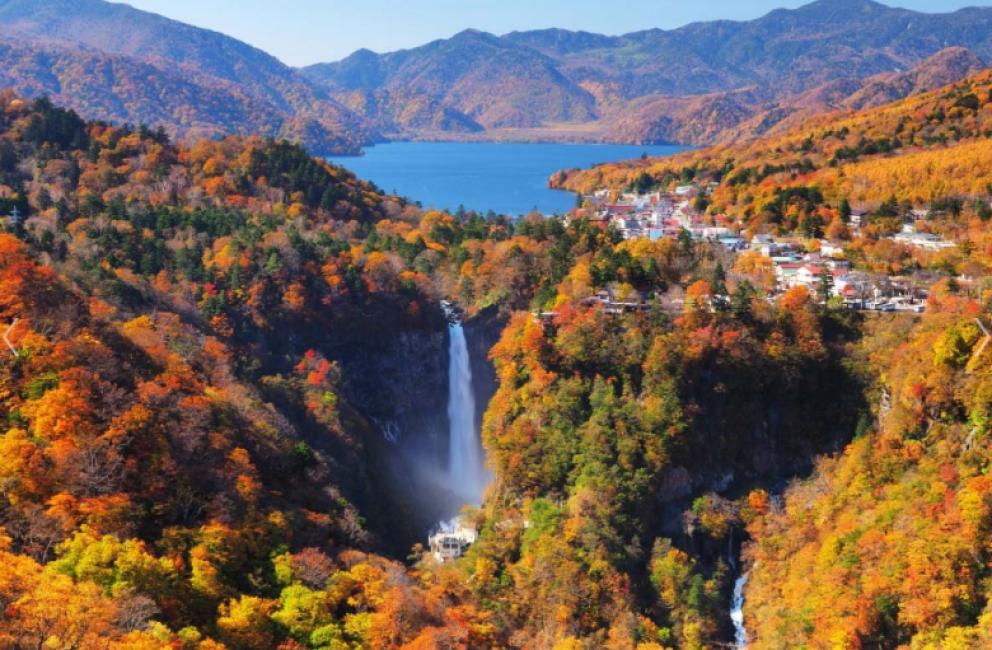 日光一日遊攻略2025｜世界遺產東照宮、景點交通行程懶人包