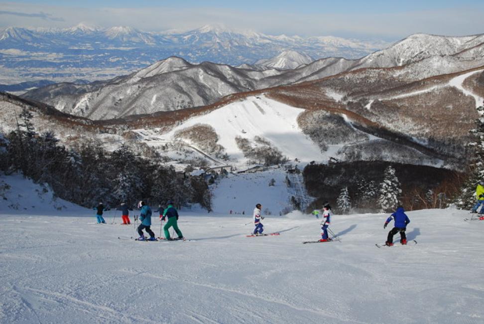 Shiga Kogen Central Area Ski Resort Lift Ticket (Nagano Prefecture/Ticket)