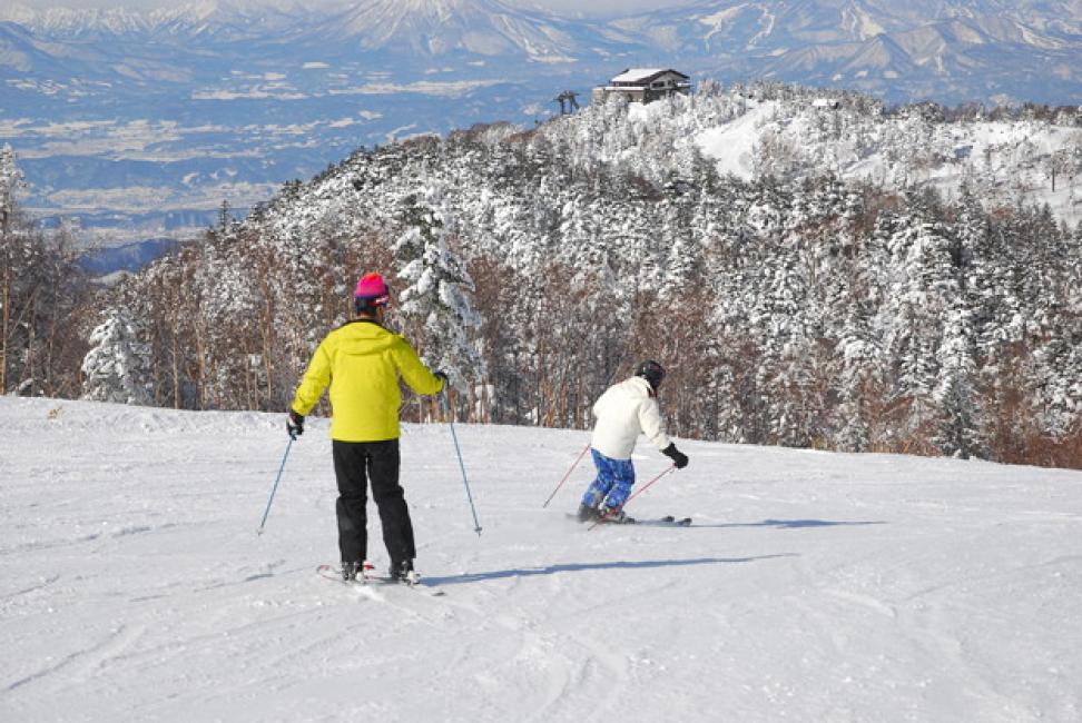 Shiga Kogen Central Area Ski Resort Lift Ticket (Nagano Prefecture/Ticket)