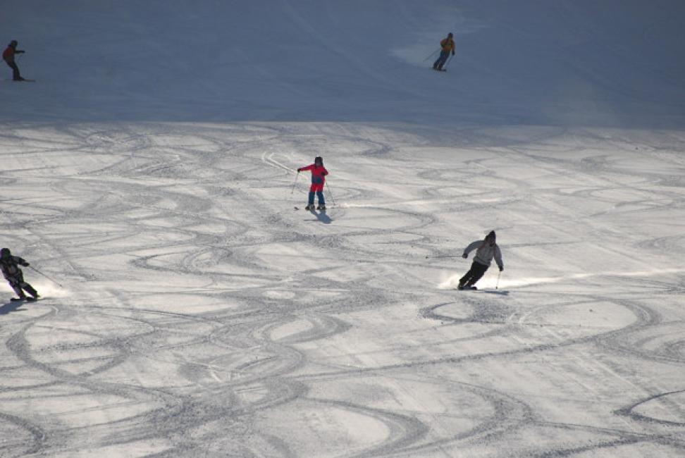 Shiga Kogen Central Area Ski Resort Lift Ticket (Nagano Prefecture/Ticket)