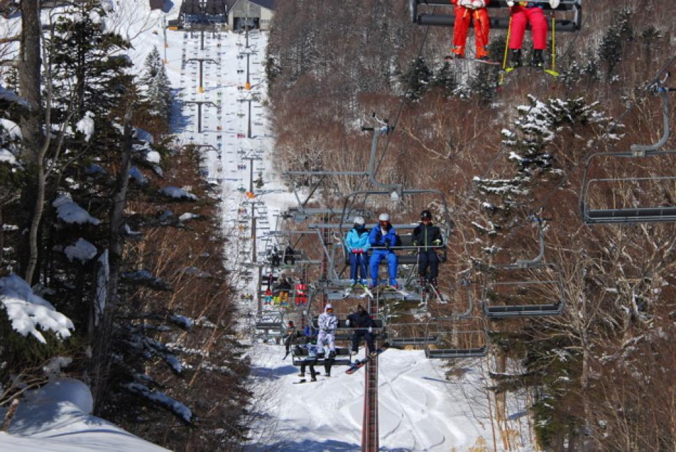 Shiga Kogen Central Area Ski Resort Lift Ticket (Nagano Prefecture/Ticket)