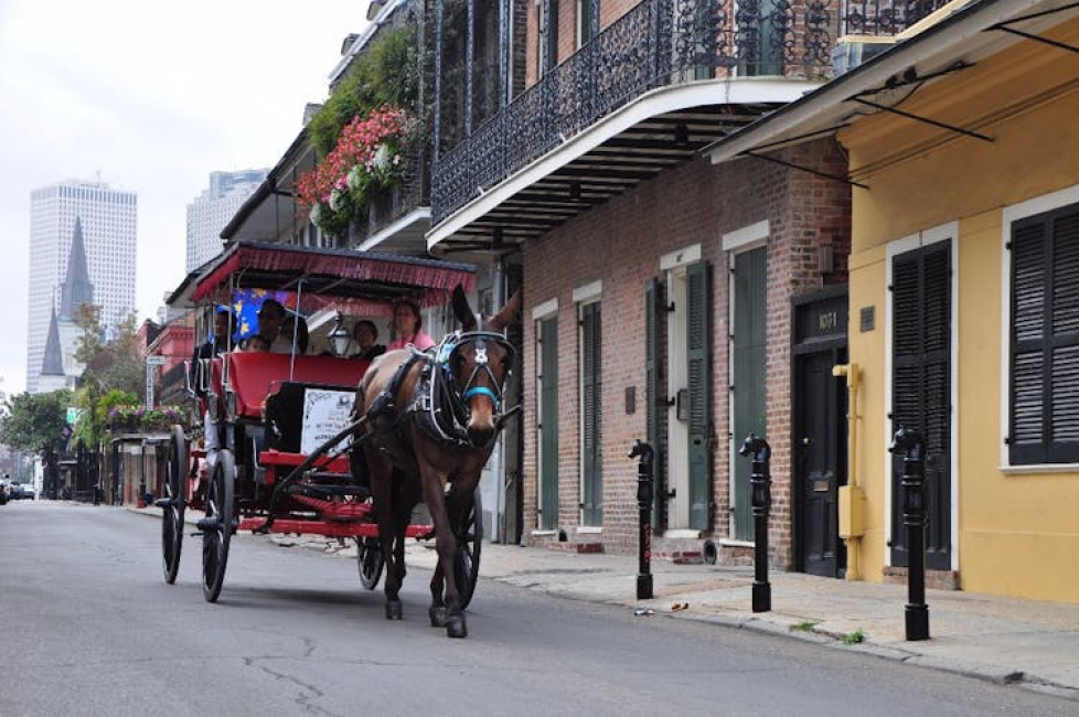 New Orleans French Quarter and Marigny carriage tour KKday