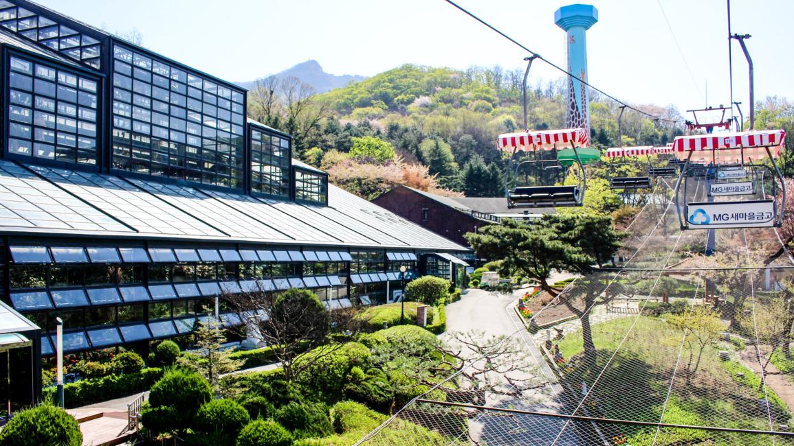 Seoul Zoo Sky Lift and Elephant Train Combo Ticket - KKday
