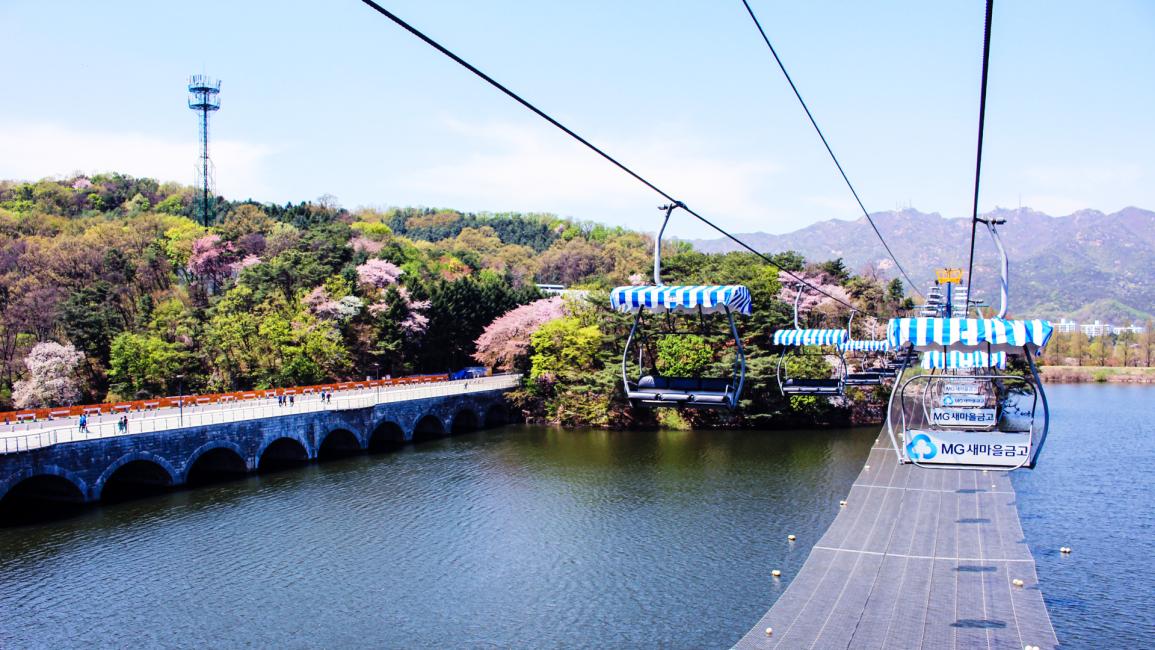 Seoul Zoo Sky Lift and Elephant Train Combo Ticket - KKday
