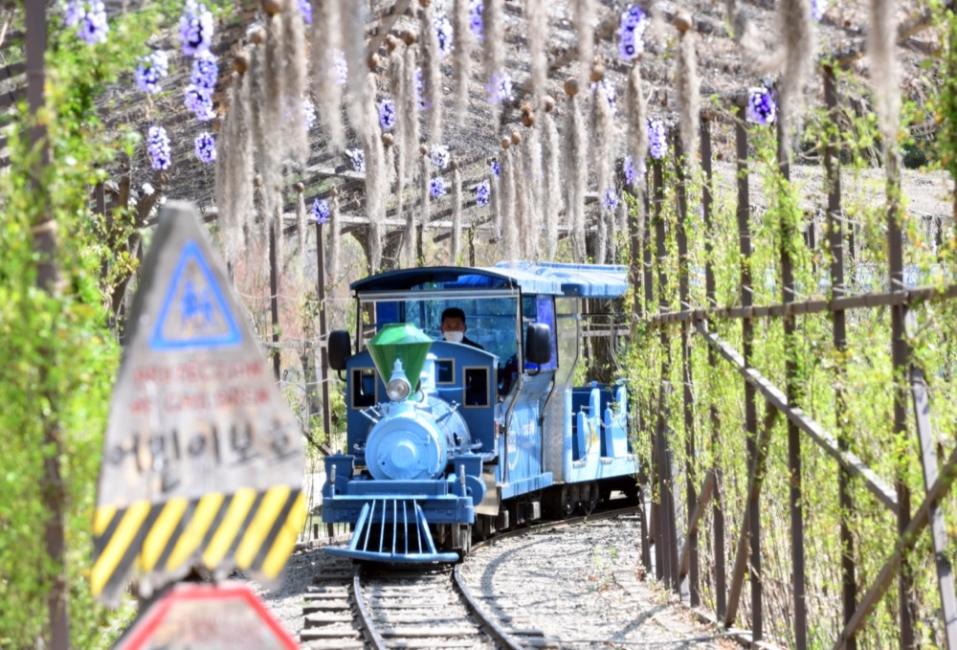 Nami Island, Petite France & Gangchon Rail Bike Day Tour Free cancellation 3 day(s) prior to selected date