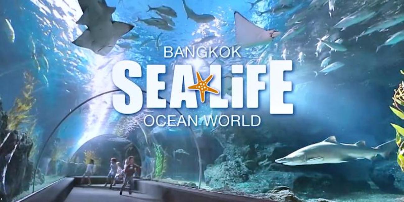 sea life bangkok ocean world ค่าเข้า menu