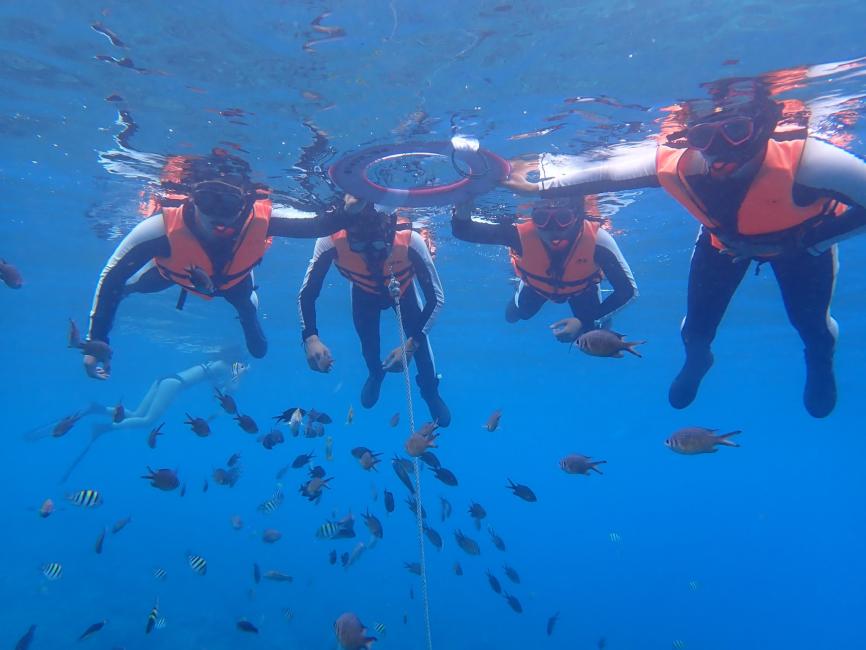 小琉球-熊潛水浮潛體驗 | 花瓶岩＆龍蝦洞&美人洞海龜共游 |  加贈活動拍攝照片