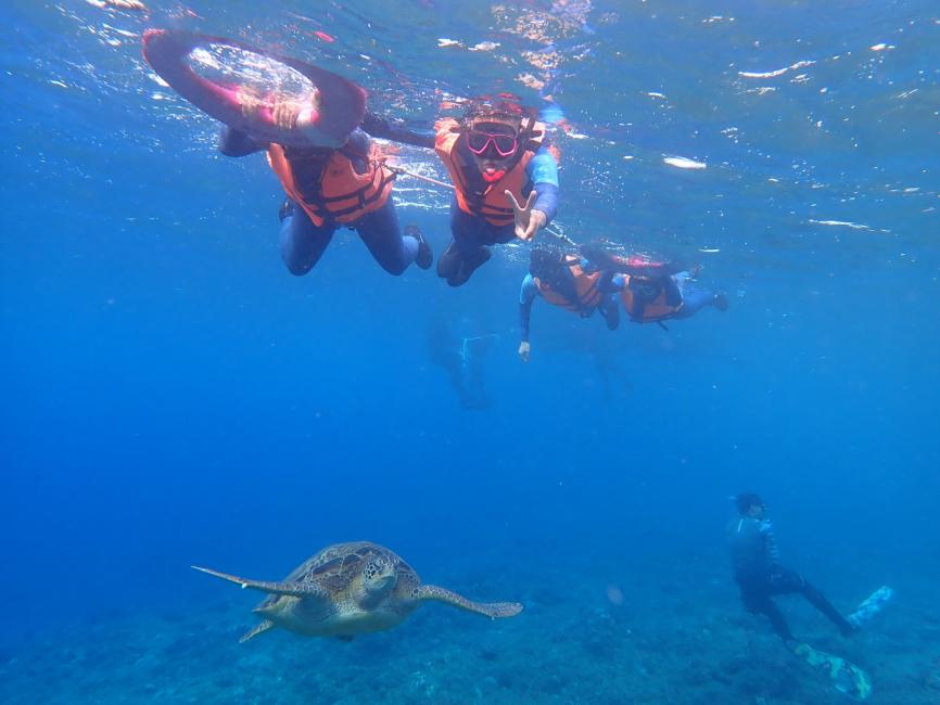 小琉球-熊潛水浮潛體驗 | 花瓶岩＆龍蝦洞&美人洞海龜共游 |  加贈活動拍攝照片