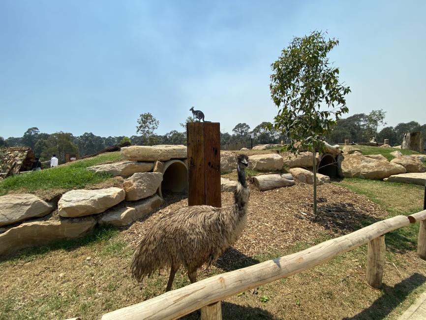 Sydney Zoo Entry Ticket New Sales Wales KKday