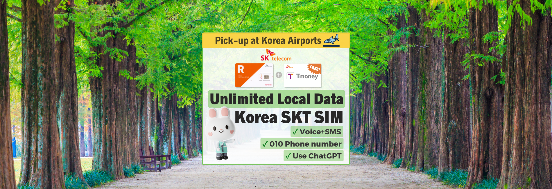 20% OFF｜Free Daiso eCoupon】Korea SKT 4G/LTE unlimited data SIM + T-Money  transportation card + 010 Phone number (Korea airport pick-up) - KKday