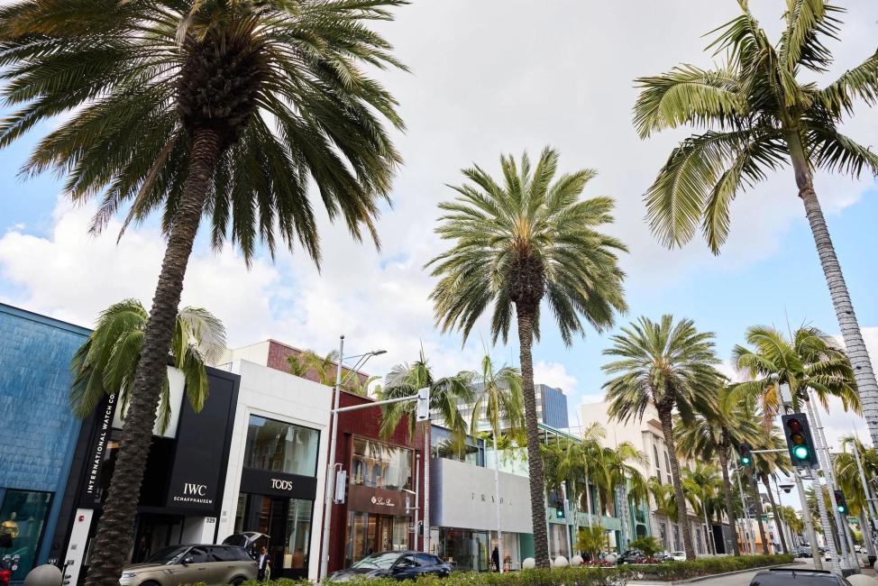 Los Angeles Day Tour by Private Private charter car| Old Town of Los Angeles | Beverly Hills | Disneyland | Departure from downtown Los Angeles - Image 6