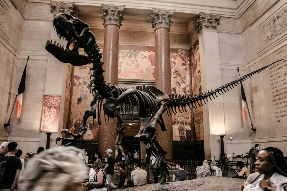 キ*ド様 American Museum of Natural History American Museum of Natural History - GothamJoe